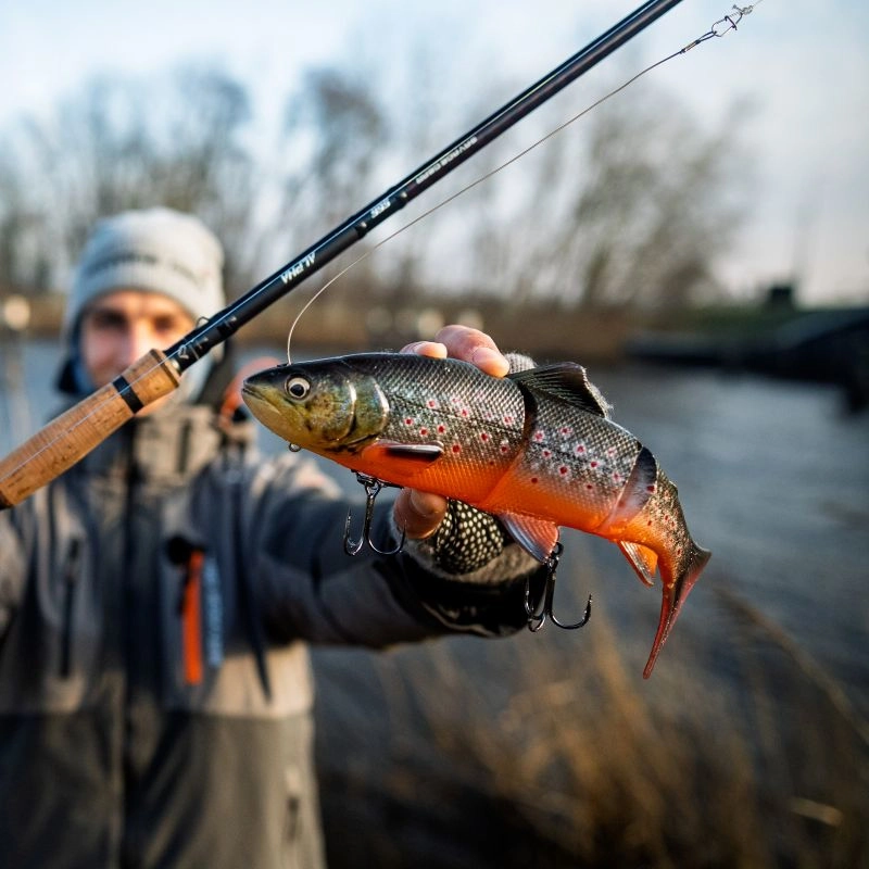 Savage Gear 3D Line Thru Trout 15cm/35g